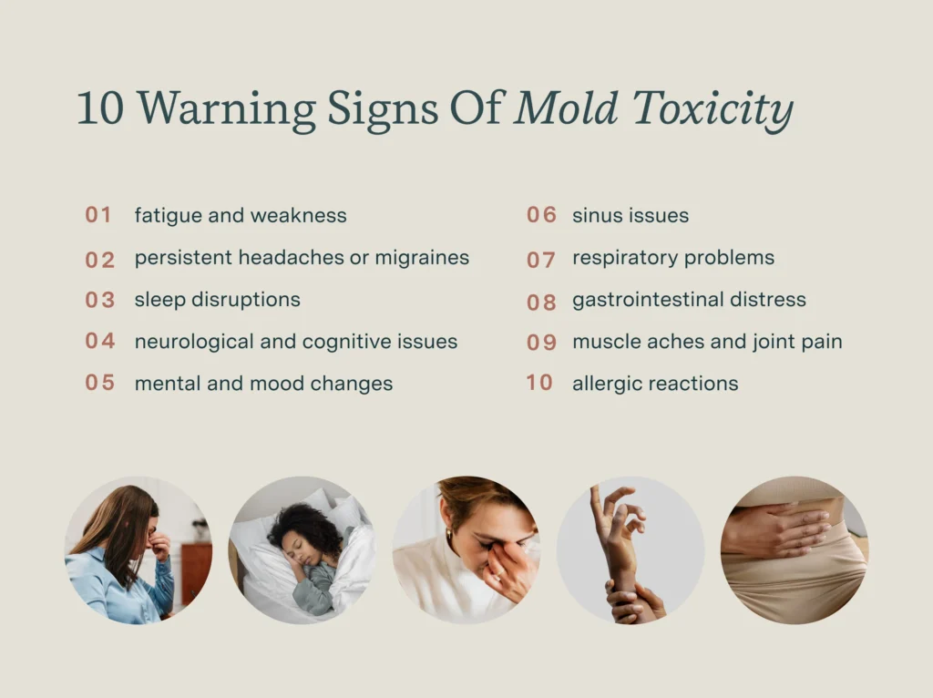 10 warning signs of mold toxicity