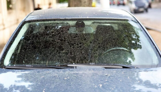 water spots on car