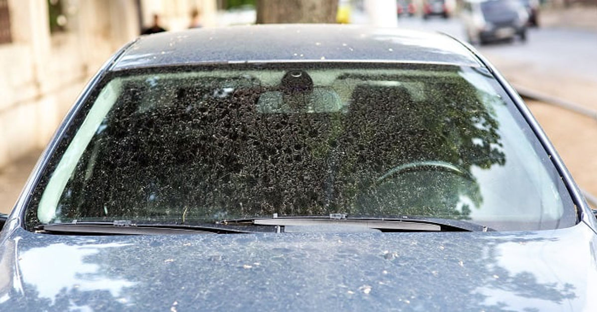 water spots on car