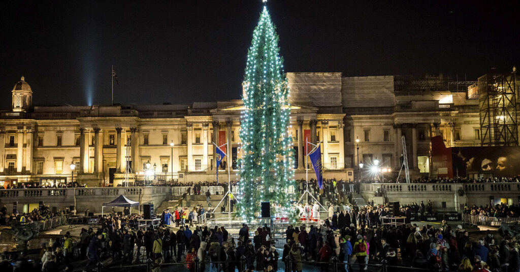 christmas tree in trafalgar square