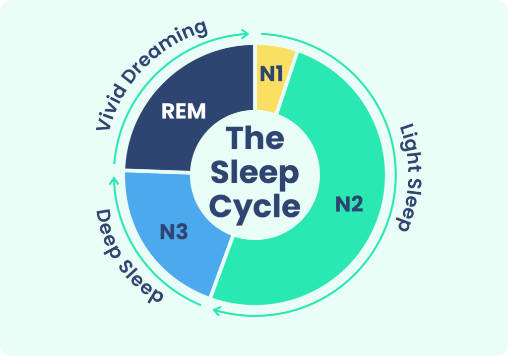 sleep cycle