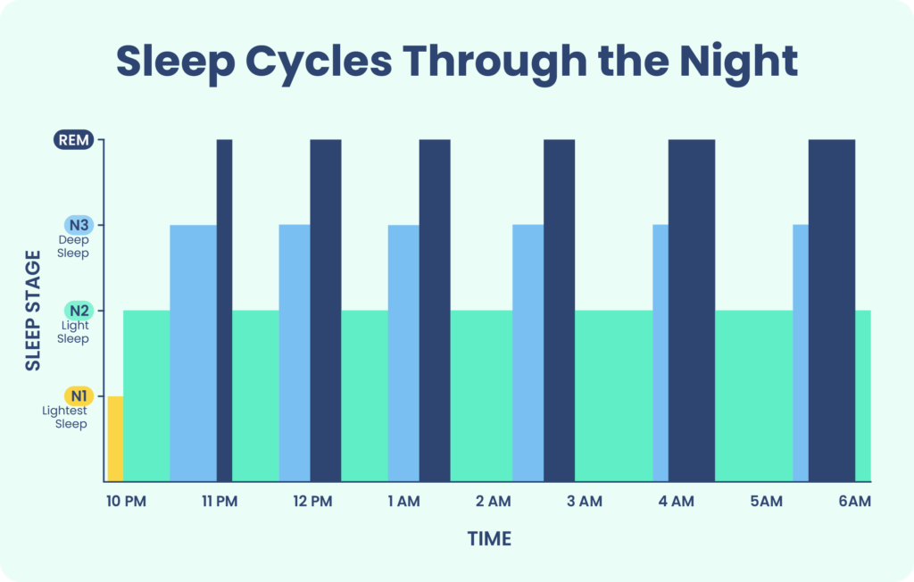 sleep cycles through the night