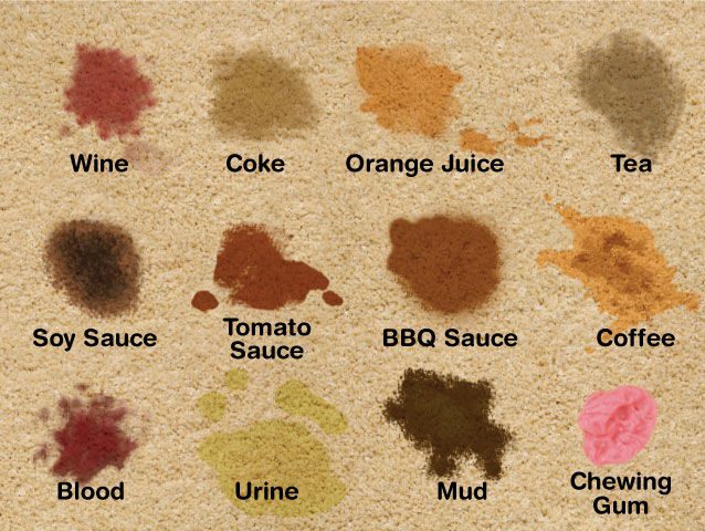 types of stains