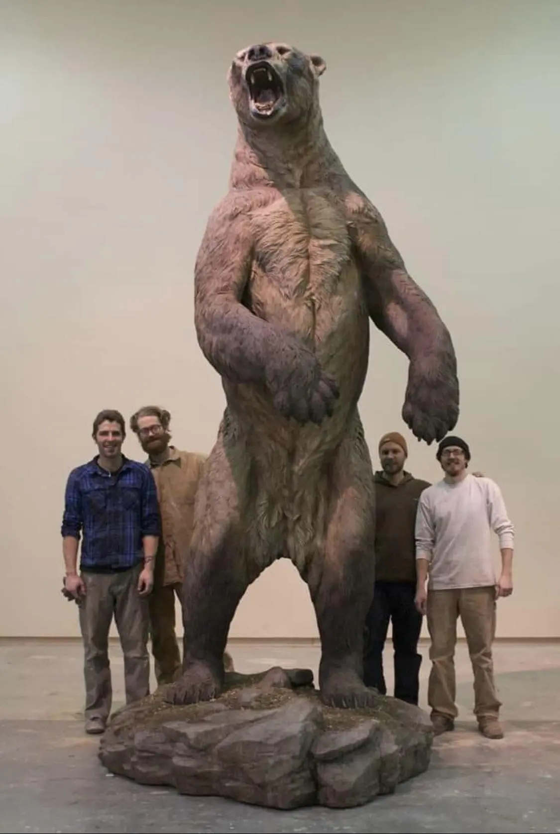 goliath-the-bear